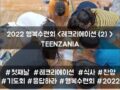 2022 목회자자녀 행복수련회 - TEENZANIA <레크리에이션(2)>